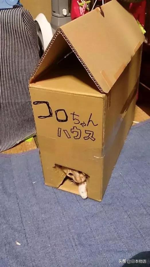 鏃ユ湰鎵嬪伐杈句汉搴熺墿鍒╃敤,鏃ユ湰鎵嬪伐澶у笀鍙樺簾涓哄疂