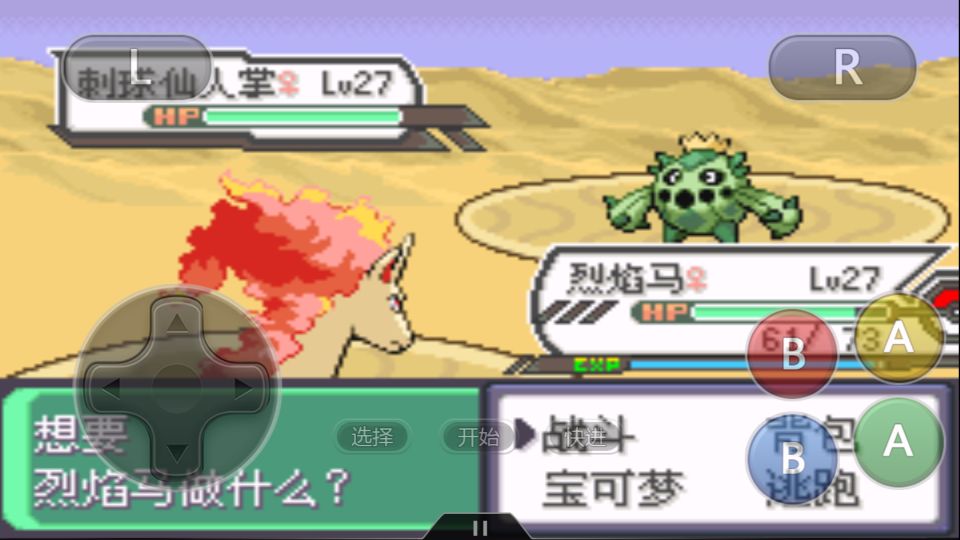 口袋妖怪打岩石,口袋妖怪仙人掌