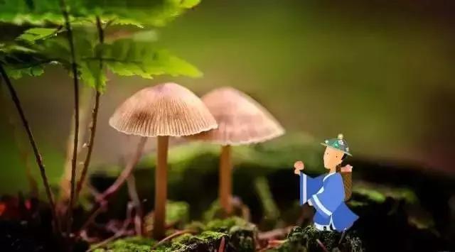 假期过后带特产回家,假期归来有好物