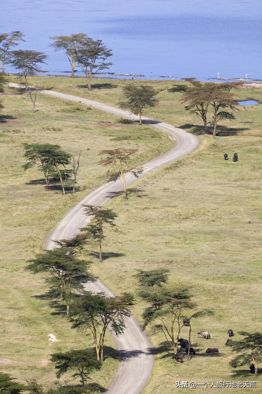 世界上最美的80个地方你去过几个,你知道世界最美的地方在哪里吗