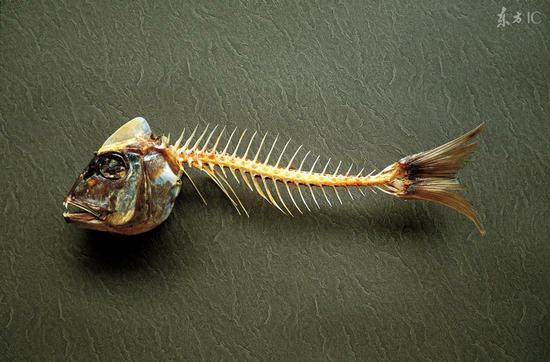 古人卡了鱼刺怎么办?