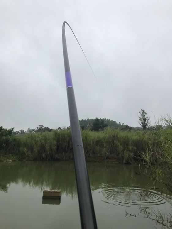 鱼竿种类区分，新手建议选用28调碳素竿，轻而拉力大