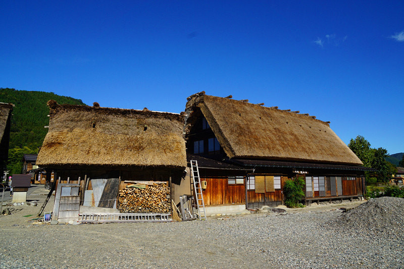 五天四夜日本邮轮游,名古屋四日自由行攻略