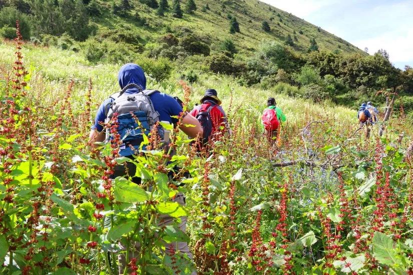 贡嘎山的徒步,贡嘎雪山大环线徒步游记