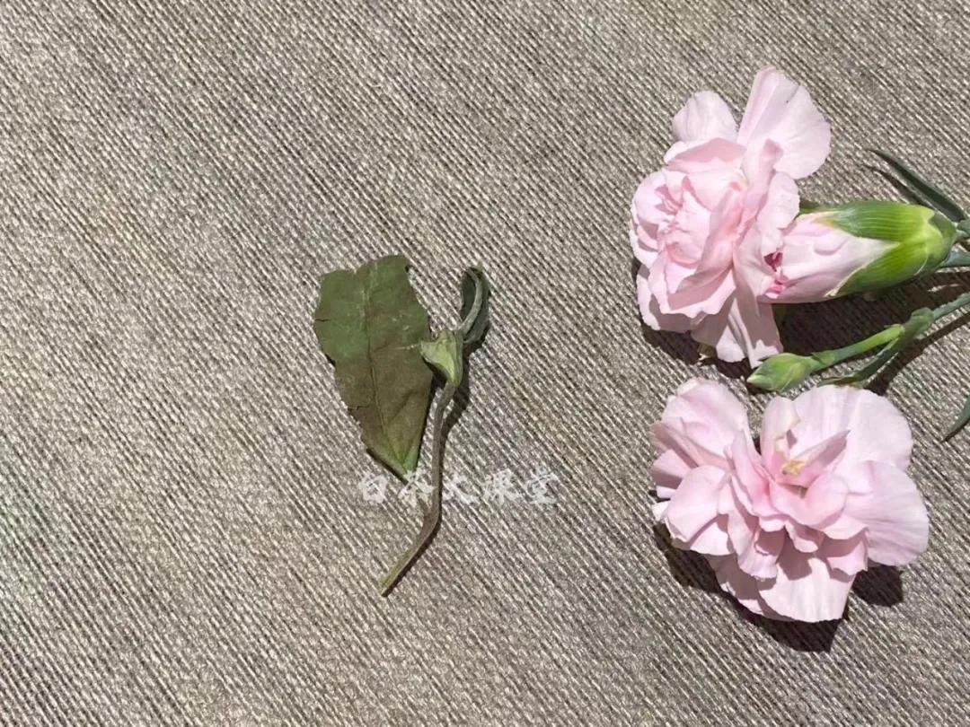 如何买茶叶别被坑,如何正确买到好茶叶