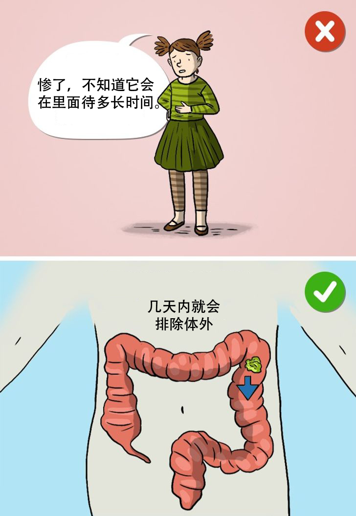 十大骗人的科学流言,这些谣言你曾相信了吗