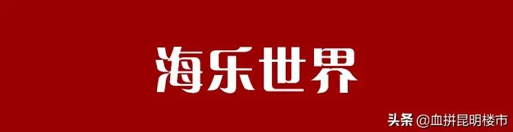 2019昆明开业的商业项目,昆明十大商业步行街