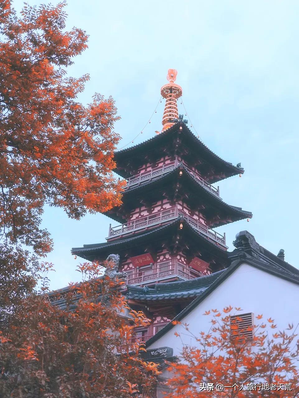 这才是12月最值得去的旅行地,11月12月去哪里旅游最美