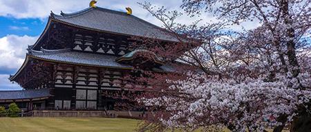 京都风民宿花园,宁波京都风民宿花园效果图
