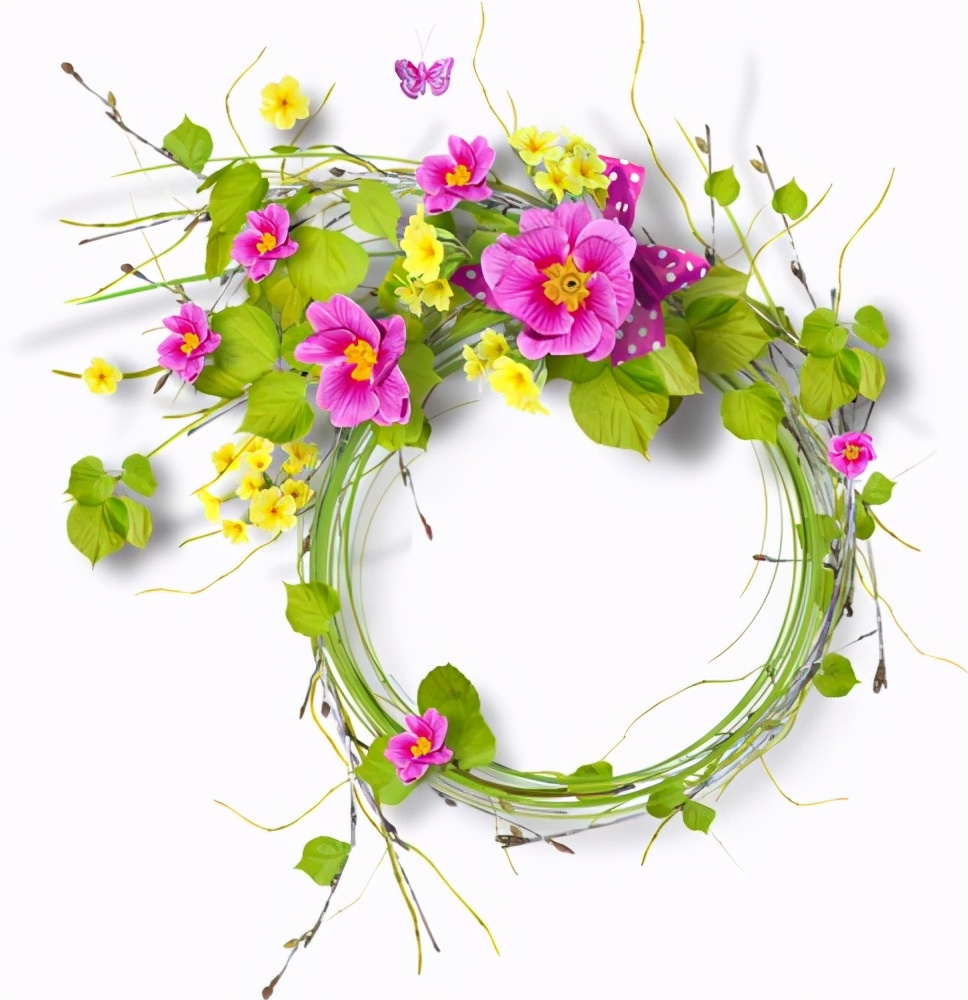 花花边框图片大全简单又漂亮,花花边框视频素材