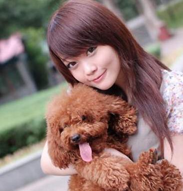 小土狗什么时候才会吠叫,六种犬