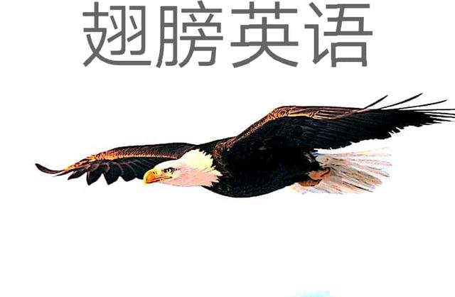 whose和ofwhom和ofwhich的区别,whose和ofwhom的区别