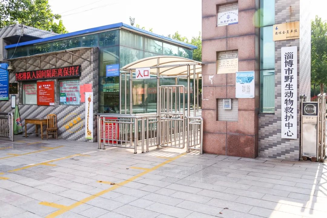 淄博新消息,淄博新景区最新消息