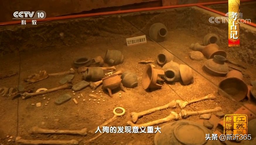 2011年新沂卫星航拍图,新沂变化图