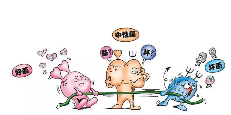 崔玉涛推荐益生菌能治积食么,崔玉涛益生菌喝了会腹泻吗