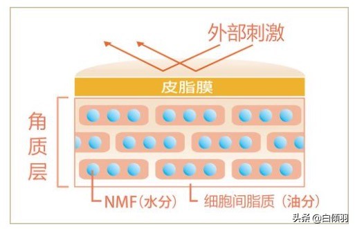 乱用护肤品怎么恢复,什么护肤品能让角质层变薄