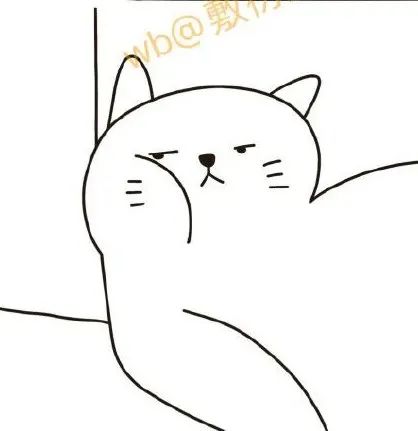 猫是只好猫，但被网友这么一弄…哈哈哈哈哈没脸见人了