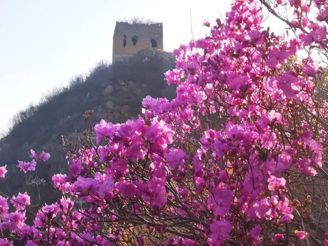 又是一年春光好完整版,又是一年春光好文明旅游