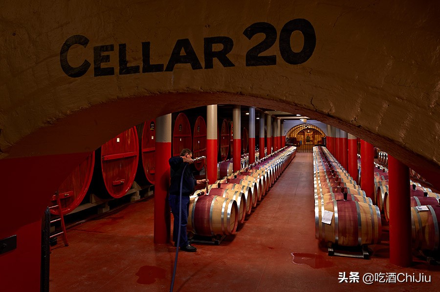 奔富红酒bin和vin的区别,奔富红酒bin系列介绍