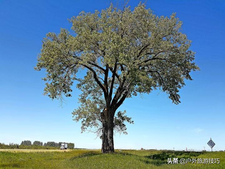 在野外辨别方向的小窍门,野外最简单最有效的辨别方向
