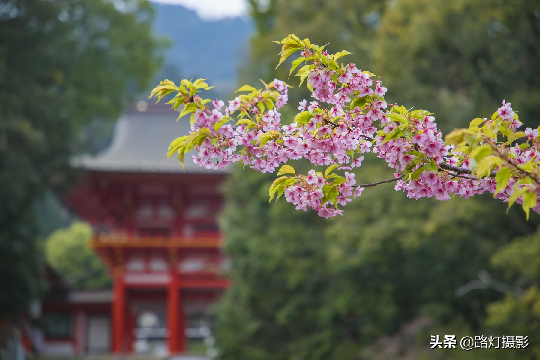 中国人到日本不用担心迷路,看看这些指示牌,都能猜个八九不离十