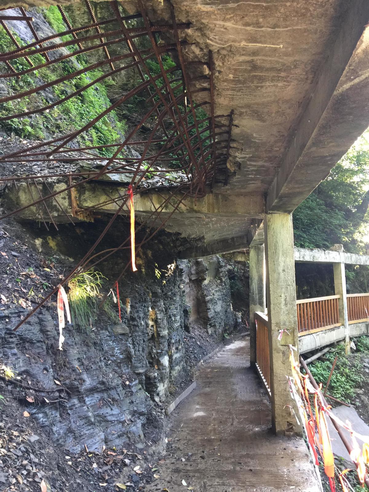 峨眉山登顶佛像,峨眉山登顶记完整版