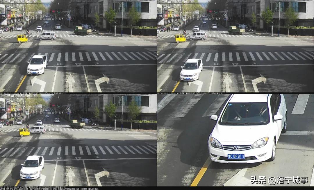 洛宁交警曝光酒驾醉驾典型案例,洛宁县交警违章处理在哪里