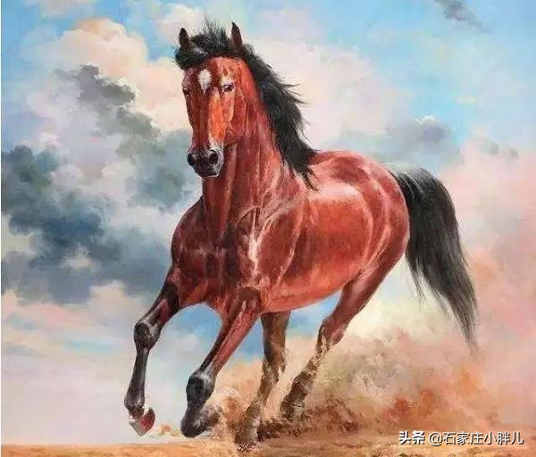 汗血宝马日行千里能跑多远,汗血宝马流汗后为什么要冲冷水