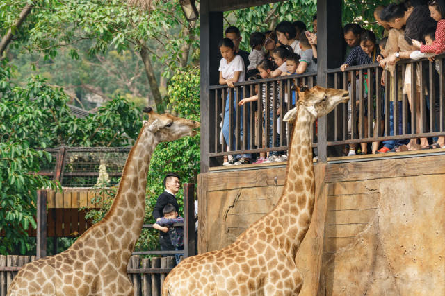隐贤山庄迪士尼,东莞隐贤山庄旅游风景区住宿