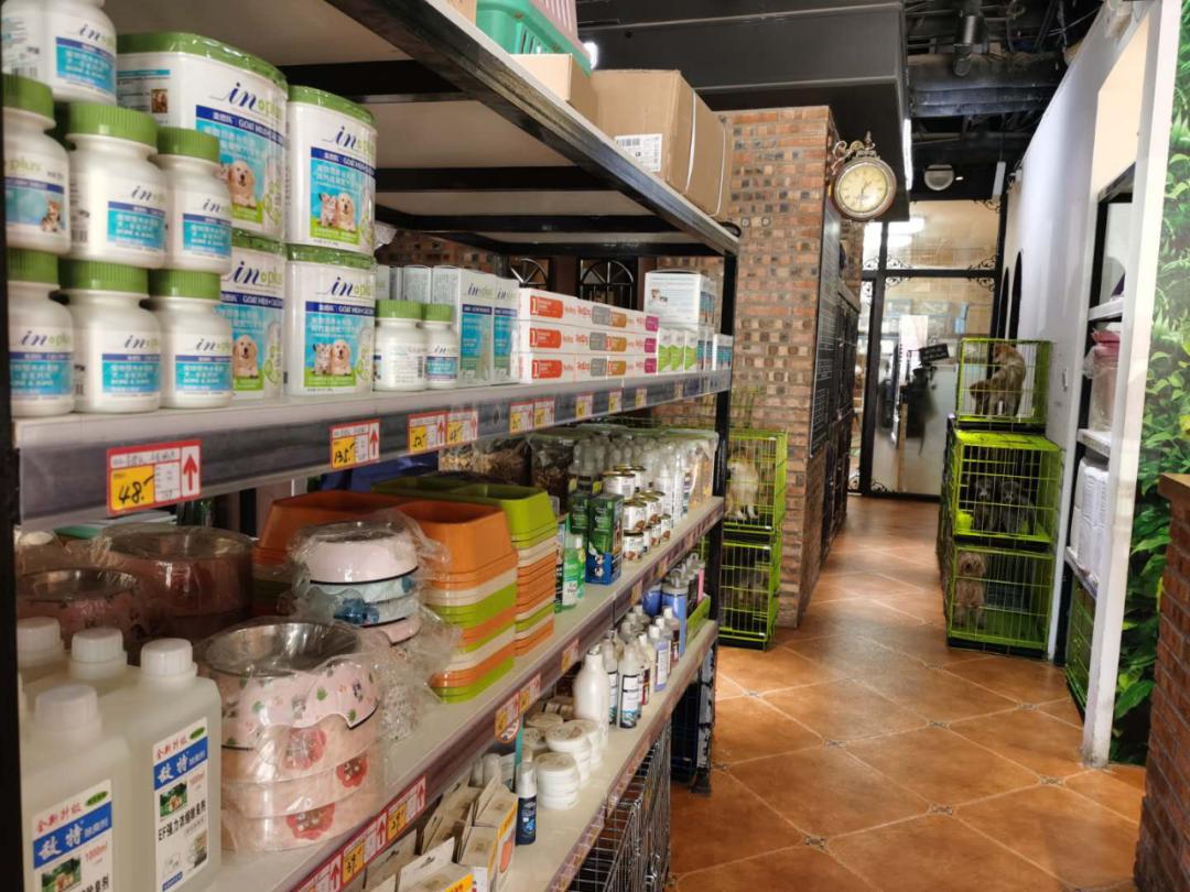 北京月流水超百万的猫狗活体专卖店,都有啥套路?