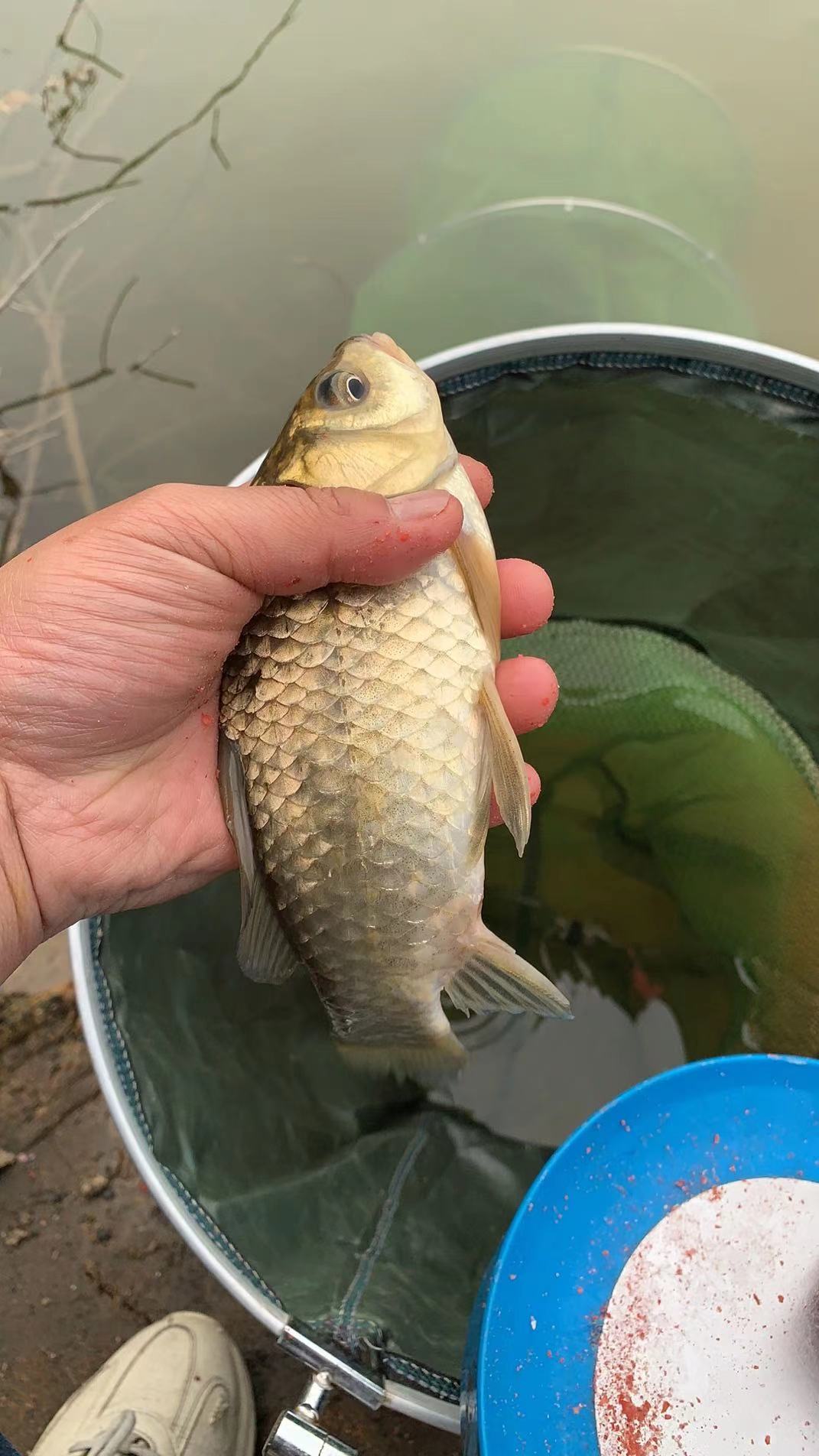 知己知彼百战不殆知是什么意思,知己知彼百战不殆是情报战吗