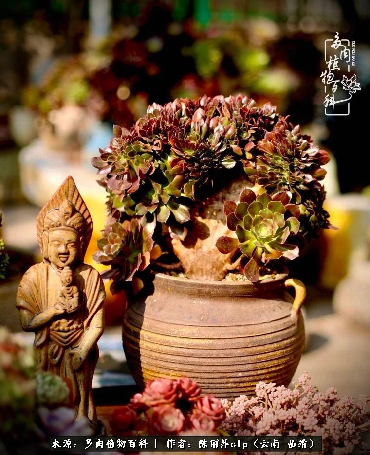 佛系看风景的地方,佛系风景空境视频