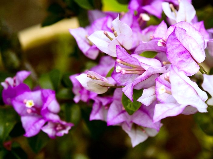 打动人心的走心句子语录,抚慰人心的句子句句透彻值得分享
