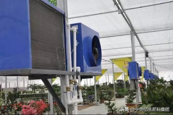 温室大棚提高温度方法图片,控温连体大棚夏天温度