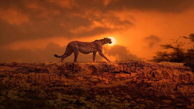 怎么写一封文案策划的简历,文案策划工作简历如何写