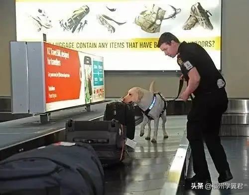 新西兰奥克兰留学行李清单,新西兰留学必带物品清单