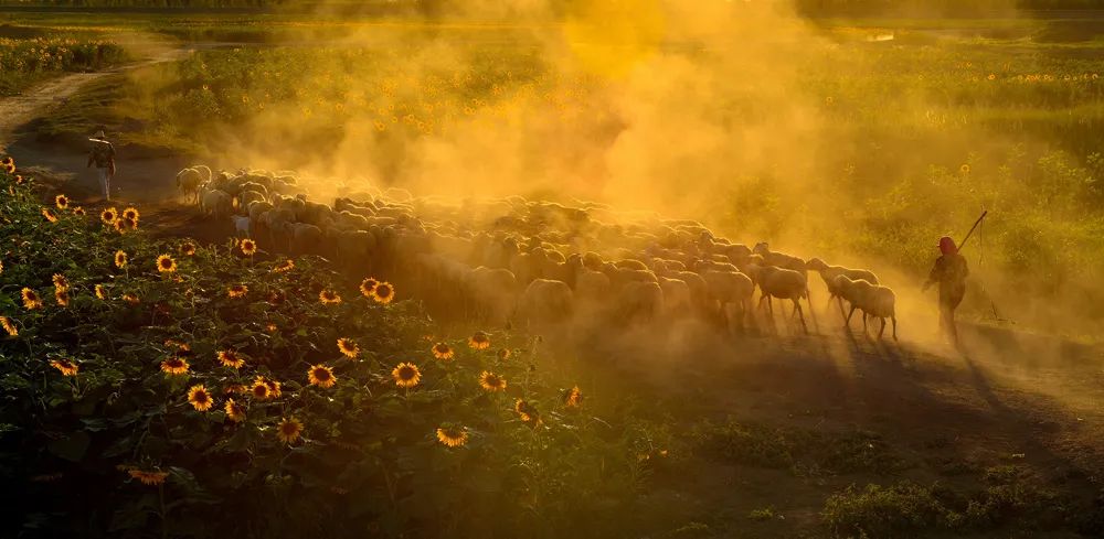 「磴口文化」河套阴山之情韵