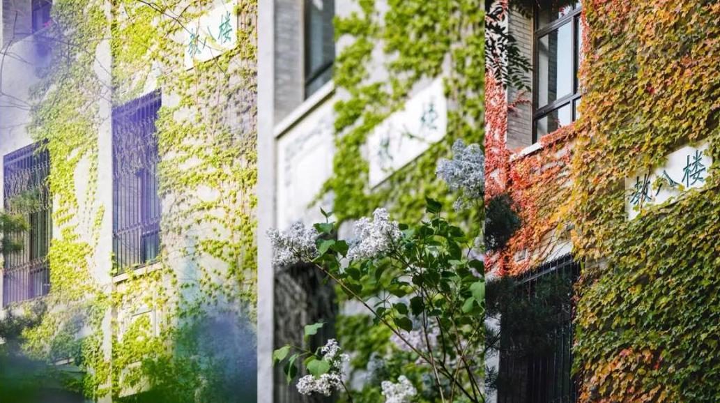 冲刺高考的梦想,高考冲刺我要上北大