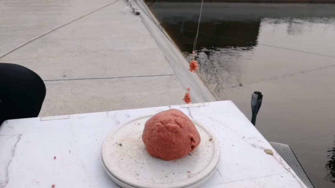 开好的红虫拉饵用不完怎么保存,拉饵要怎么用才能不会掉