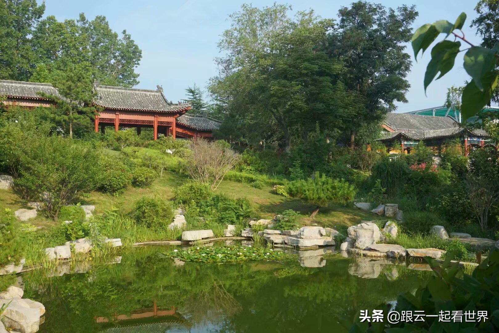 渤海湾赶海一日游,带你一起去看海威海之旅