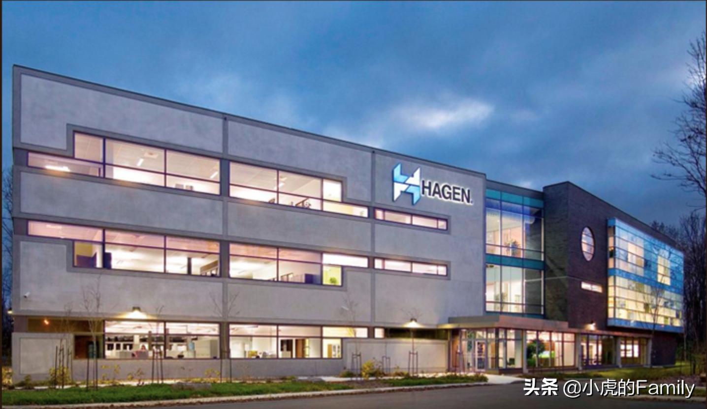 纽翠斯猫粮8719,纽翠斯猫粮11磅价格