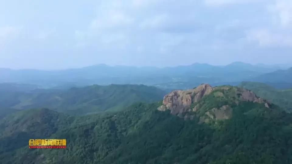 聚焦2024两会乡村振兴,聚焦合肥第十二次党代会