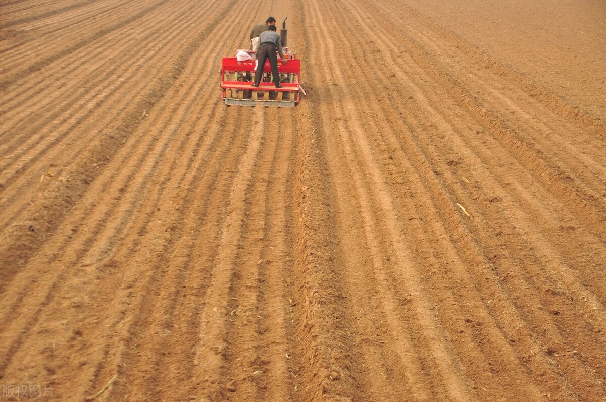 山东经济gdp排名2014,人均可支配收入山东县级城市排行