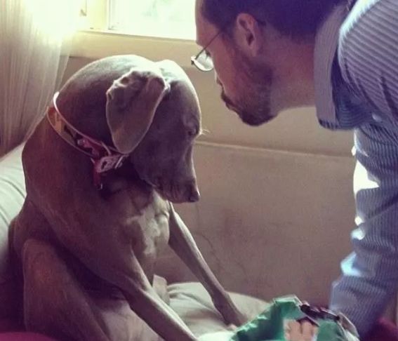 安检时猫在行李箱,安检行李箱有只猫