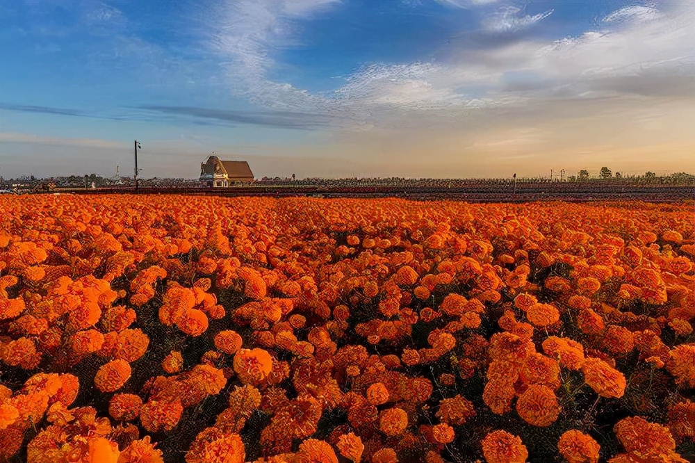 江苏连云港哪个地方适合定居,连云港最宜居的地方