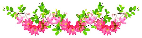 今天是4月9日,百年难遇的平安日,打开一年四季都平安