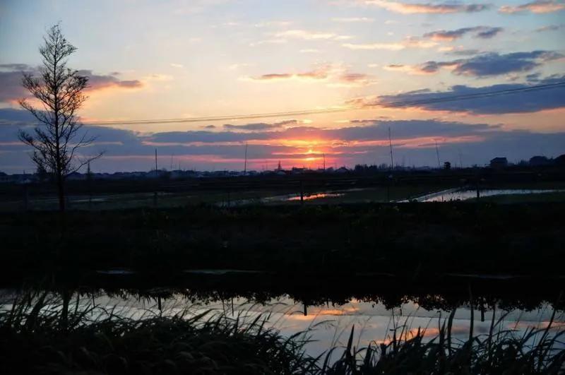 新农村新气象一份耕耘一份收获,我们的新农村充满了希望和活力