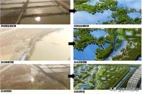 新宇学校经开区,经开新宇学校南昌