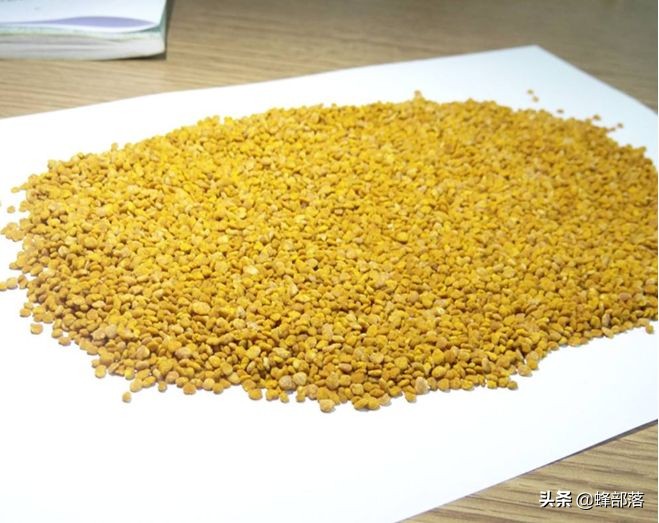 意蜂春繁饲喂花粉的配料比例,春繁饲喂花粉要加豆粉吗