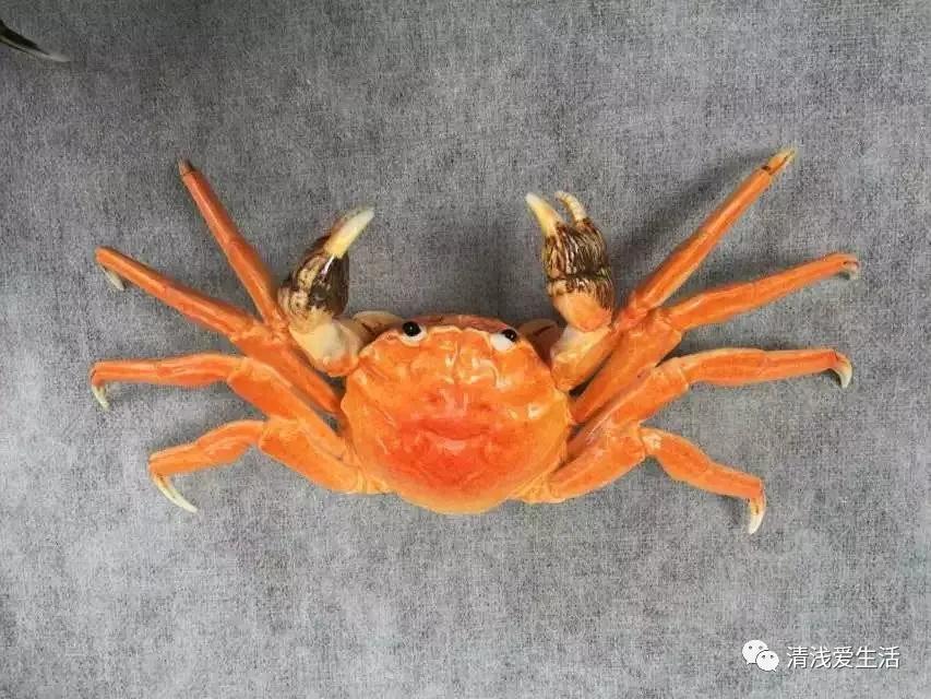 景德镇陶瓷古玩收藏,景德镇陶瓷购买攻略省钱